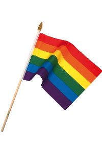 Gay Pride regenboogvlag op stok large