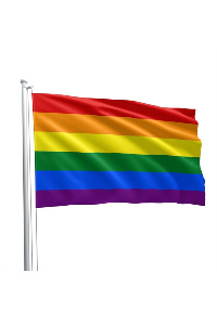 Pride regenboog vlag 60 x 90 cm