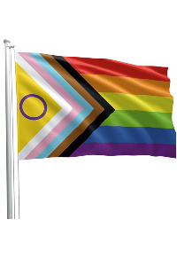 Mister b intersex progress pride flag 90cm x 150cm