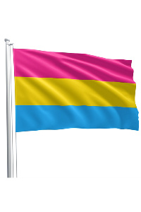 Pansexual flag 90 x 150 cm
