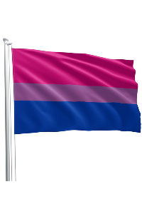 Bi pride flag 90 x 150 cm