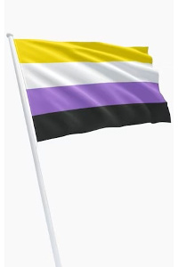Non-binary flag 90 x 150 cm