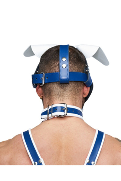 ister b leather circuit floppy dog hood - blauw wit - afbeelding 2